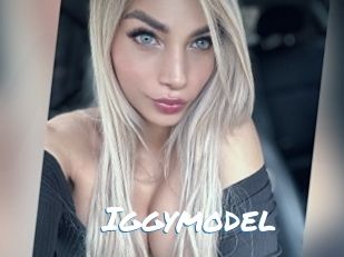 Iggymodel