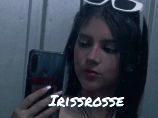 Irissrosse