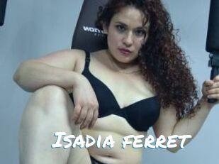 Isadia_ferret