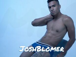 JoshBlomer