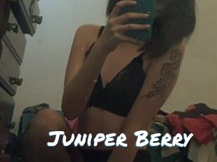 Juniper_Berry