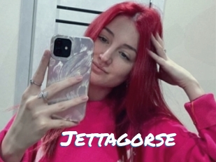 Jettagorse