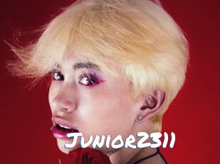 Junior2311