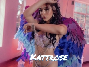 Kattrose