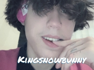 Kingsnowbunny