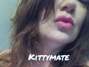 Kittymate