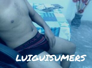 LUIGUISUMERS