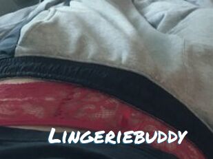 Lingeriebuddy