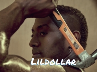 Lildollar