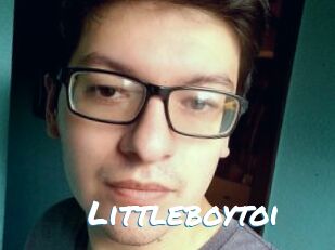 Littleboytoi