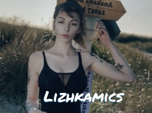 Lizhkamics