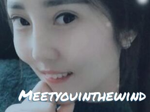Meetyouinthewind