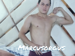 Marcusorgus