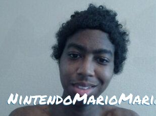 NintendoMarioMario