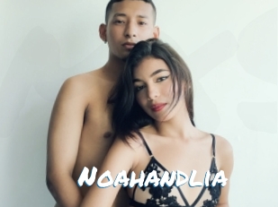 Noahandlia