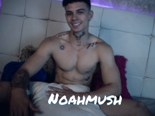 Noahmush