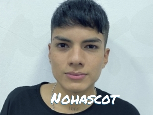 Nohascot