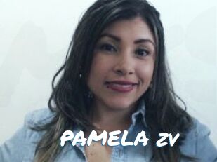 PAMELA_zv