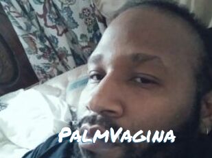 PalmVagina