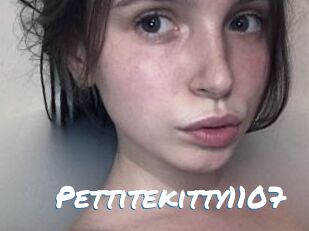 Pettitekitty1107