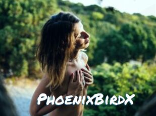 PhoenixBirdX