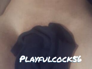 Playfulcock56