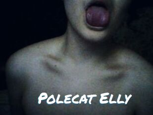 Polecat_Elly