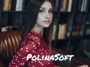 PolinaSoft