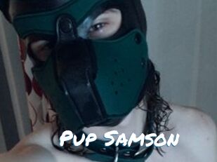 Pup_Samson