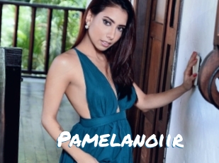 Pamelanoiir