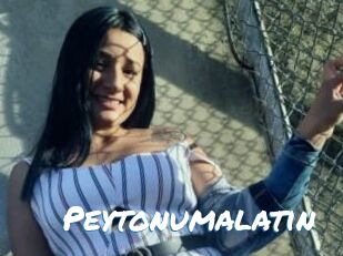 Peytonumalatin