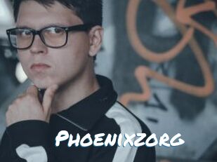 Phoenixzorg