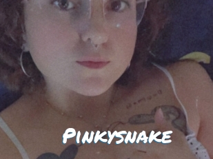 Pinkysnake