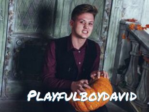 Playfulboydavid