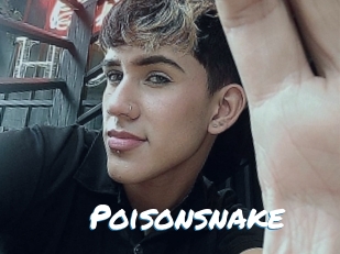 Poisonsnake