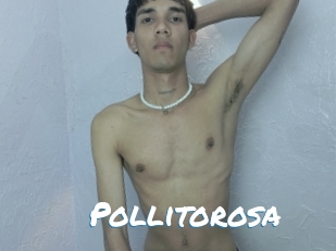 Pollitorosa