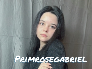 Primrosegabriel