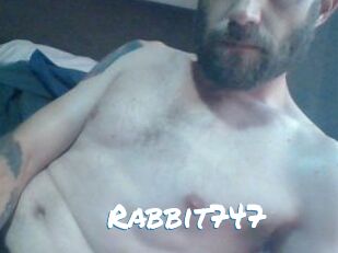 Rabbit747