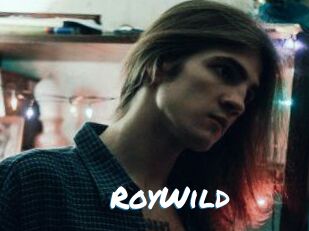 RoyWild