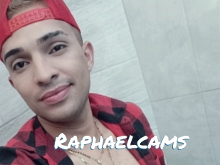 Raphaelcams