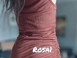 Rosa1