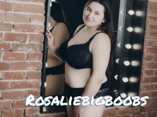 Rosaliebigboobs