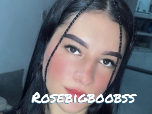 Rosebigboobss