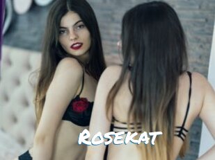 Rosekat