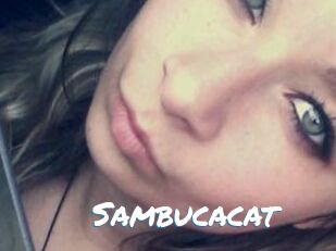 Sambucacat