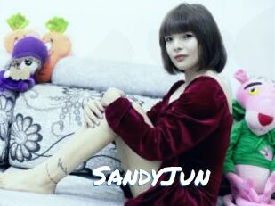 SandyJun