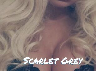 Scarlet_Grey