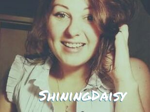 ShiningDaisy