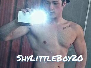 ShyLittleBoy20