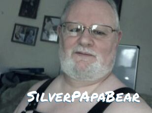 SilverPApaBear